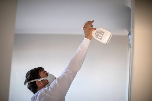Best Mold Damage Repair  in Ten Mile Run, NJ