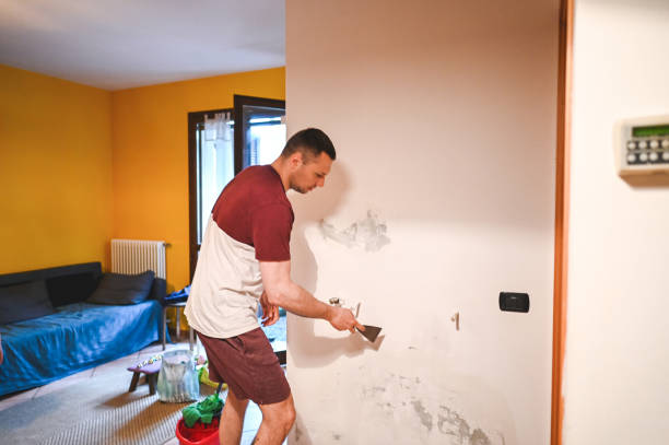 Best Mold Remediation  in Ten Mile Run, NJ