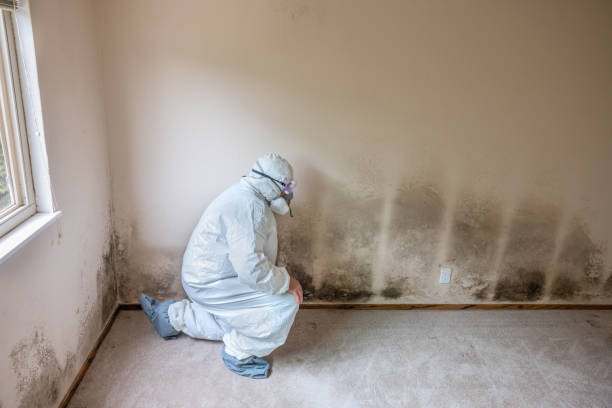 Best Emergency Mold Removal  in Ten Mile Run, NJ